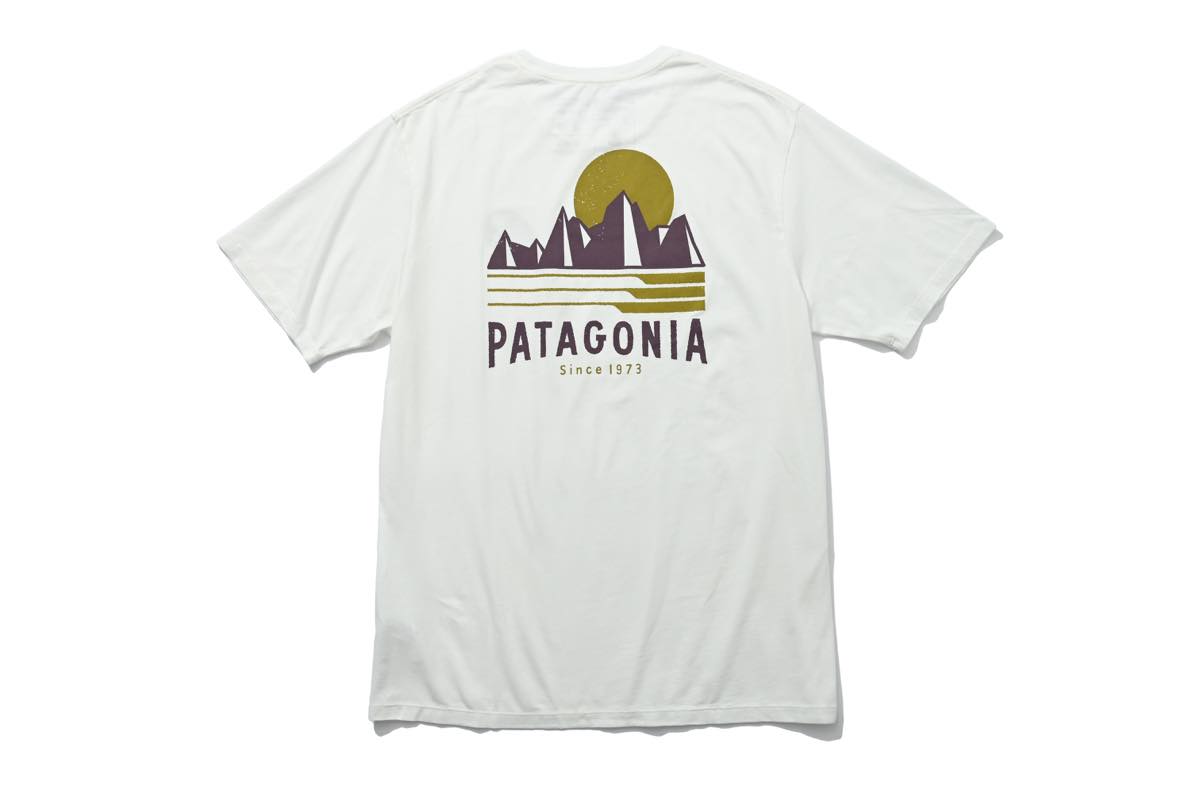 夏に着たいパタゴニアのtシャツ5選 ファッション Fineboys Online